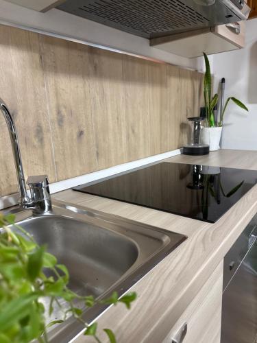 a kitchen with a stainless steel sink and wooden cabinets at Residenze Vezza - Home sweet home- in Vezza dʼOglio