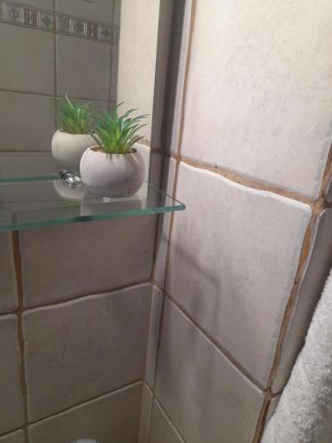 a bathroom with two plants on a glass shelf at Minimal Studio. in Kavala