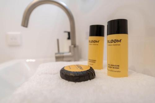 - un comptoir de salle de bains avec une bouteille de shampoing et une brosse dans l'établissement PF2 Studio cosy, Proche Tramway, à Nice