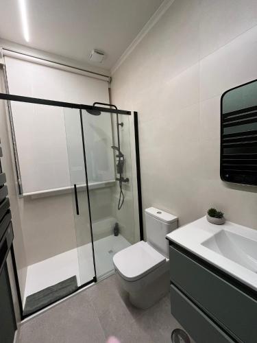 Un baño con ducha, inodoro y lavabo. en Alameda 72, en Redondela
