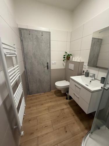 a bathroom with a shower and a toilet and a sink at Apartmány U Kostela in Uničov