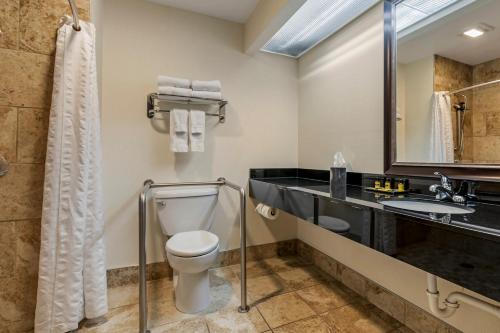 a bathroom with a toilet and a sink at Best Western Plus InnTowner Madison in Madison
