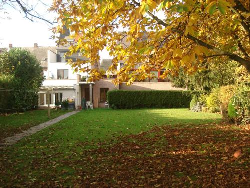 une maison avec une cour avec des feuilles sur l'herbe dans l'établissement B&B La Chapelle Au Puits, à La Louvière