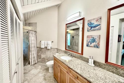 a bathroom with a sink and a toilet and a mirror at Pali Ke Kua #9 in Princeville