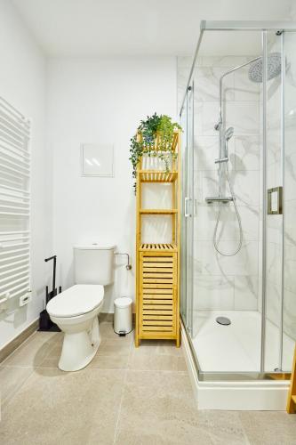 une salle de bain avec toilettes et douche en verre dans l'établissement BE-3G - Appartement F2 pour 1-2 pers au 3ème étage au centre de Mulhouse, à Mulhouse