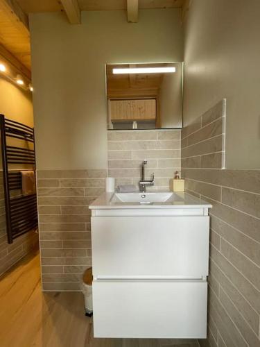 une salle de bain avec un lavabo et un miroir dans l'établissement Le petit chalet de la Ronzière de Miss K, à Cormoranche-sur-Saône
