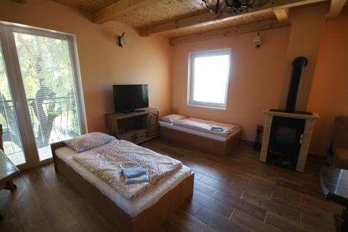a room with a fireplace and a bed and a tv at Apartment Vínny Dom in Viničky