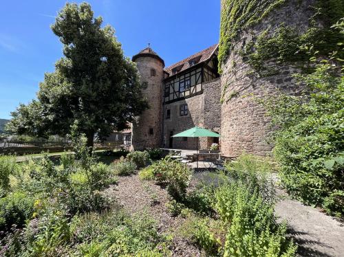 a building with a tree and an umbrella in front of it at GRÄFIN MARTHA MARIA - Design-Apartment in der historischen Hinterburg Schlitz - mit Aufzug, Parkplatz & Garten - nahe Fulda und Bad Hersfeld in Schlitz