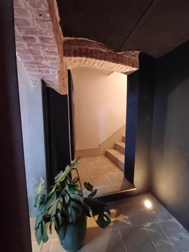 a room with a potted plant and a staircase at Santo Stefano Rondini in Vicoforte