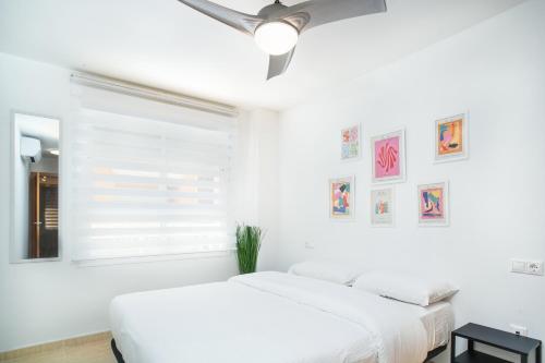 Apartamento Mestral