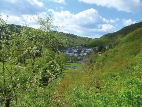 a view of a town from a hill at Landhaus am Sonnenberg in Bad Bertrich