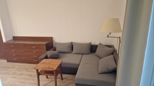 Χώρος καθιστικού στο Apartment whit balcony and lake view Bratislava Checkin - Drazdiak