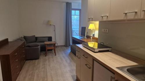Η κουζίνα ή μικρή κουζίνα στο Apartment whit balcony and lake view Bratislava Checkin - Drazdiak