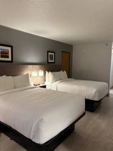 two beds in a hotel room with white sheets at Clarion Inn & Suites and Convention Center in Kearney