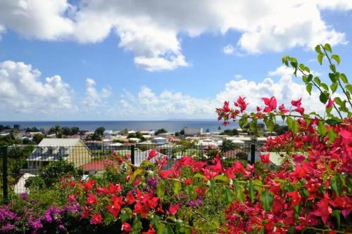 a view of a city with flowers in the foreground at Studio confortable à Saint-François - 35 m² avec piscine in Saint-François