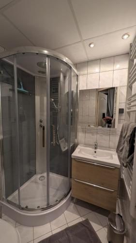 une salle de bain avec douche et lavabo dans l'établissement Au Cygne, à Hœrdt