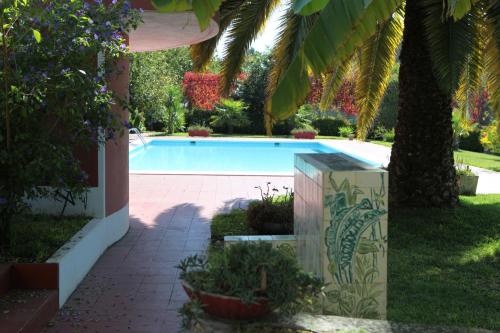 einen Pool im Garten mit Palmen in der Unterkunft Quinta de Santo Antonio in Muro