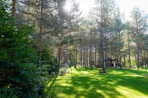 a park with a gazebo in the middle of a forest at LEŚNA STRZECHA APARTAMENTY in Rotembark