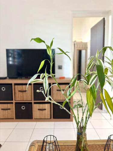 a vase with a plant on a table in a kitchen at Le Gîte Ohana - Proches des plages et jardin privé in Saint-François