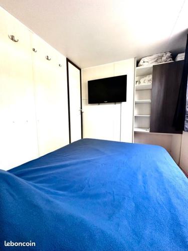 - une chambre avec un lit bleu et une télévision dans l'établissement Mobil-home 6 personnes chez Vonvon, à La Roque-dʼAnthéron