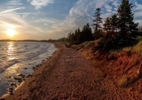 a sandy beach with trees and the ocean at sunset at The Perfect Getaway in Bedeque