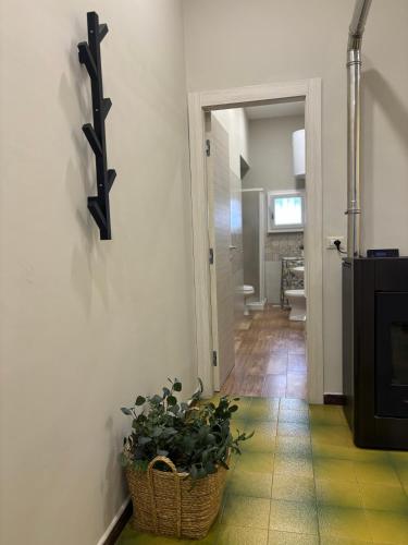 a hallway with a plant in a basket on a wall at Vesuvio House in Boscoreale