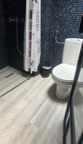 a bathroom with a toilet and a shower at Marvellous Attic Studio in the Old Town in Bucharest