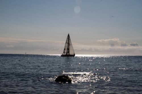 a sail boat in the ocean with a rock in the water at L' Elicriso in Marciana