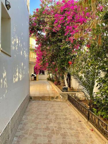 a walk way with pink flowers on a building at Super Spot pied dans l'eau in Sangho