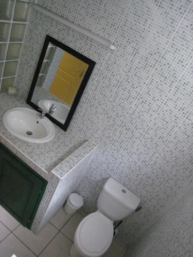 a bathroom with a toilet and a sink and a mirror at Residence Virginie in Saint-Leu