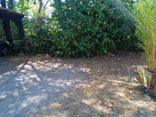 Jardín al aire libre en La Bastide du Clos Saint Michel