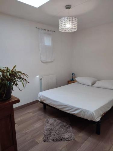 une chambre avec un lit et une plante en pot dans l'établissement La Bastide du Clos Saint Michel, à Montauroux