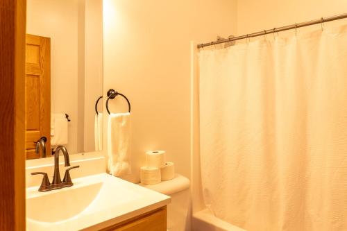 a bathroom with a sink and a shower curtain at Keweenaw Waters Resort in Houghton