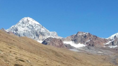 a snow covered mountain in the middle of a field at Rifugio Ghiacciaio dei Forni in Valfurva
