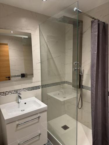 a bathroom with a glass shower and a sink at Large Villa in Maspalomas with Huge Private Pool, Jacuzzi & Gym in San Bartolomé