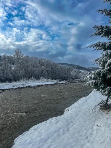 a river with snow and trees in the background at Shum Cheremosha in Verkhovyna