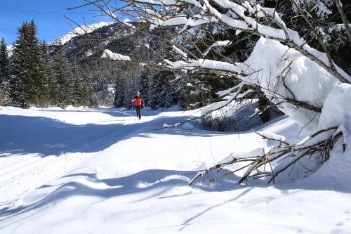 a person is cross country skiing in the snow at Rifugio Ghiacciaio dei Forni in Valfurva