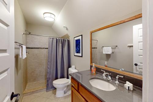 a bathroom with a sink and a toilet and a shower at Tranquil Point in Mineral