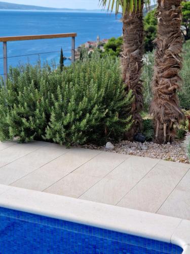 a bunch of plants next to a swimming pool at 5 stars 2 bedrooms villa BLUE DREAM village Pisak Croatia in Pisak