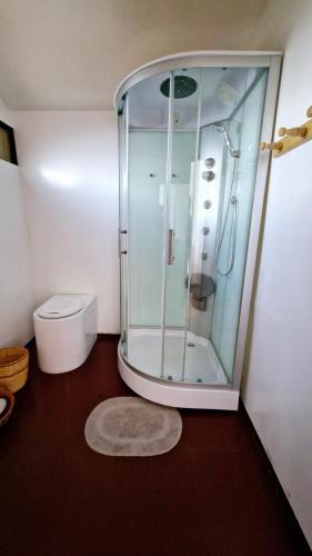 a bathroom with a glass shower with a toilet at Utasa del Titicaca in Puno