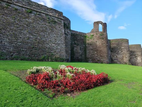 a bush of flowers in front of a castle at Apartamento Ronda Muralla in Lugo