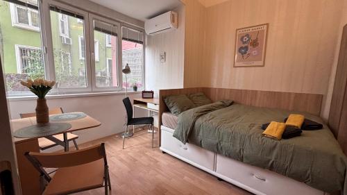 Studio in the heart of Sofia