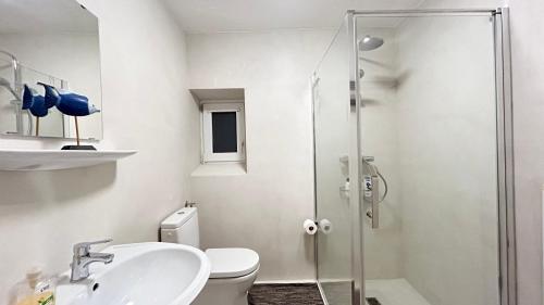 a bathroom with a shower and a toilet and a sink at Fiala Home in Neumünster