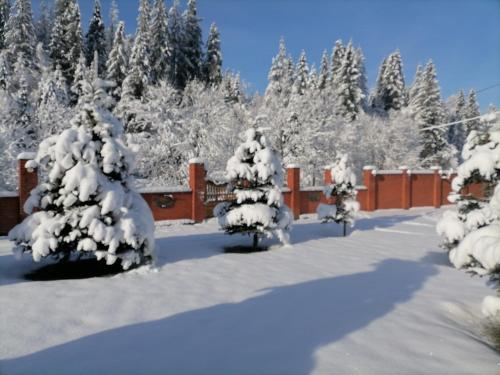 Chalet Zolota Pidkova & River om vinteren