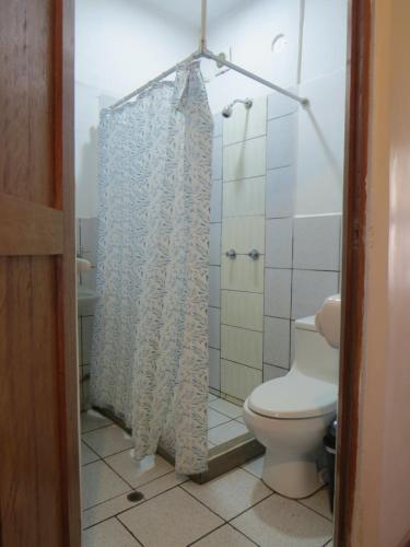 クスコにあるLa Casa de Abrilのトイレとシャワーカーテン付きのバスルーム