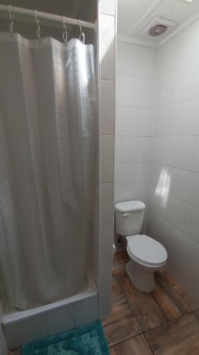 a bathroom with a toilet and a shower at Apartamentos Álamos de Llancahue in Valdivia