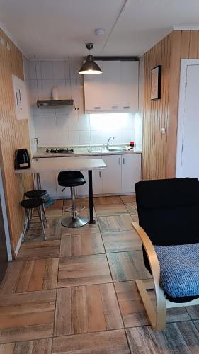 a kitchen with a table and chairs in a room at Apartamentos Álamos de Llancahue in Valdivia
