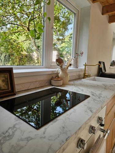 cocina con fregadero y encimera con ventana en Bed and breakfast near 's-Hertogenbosch, en Rosmalen