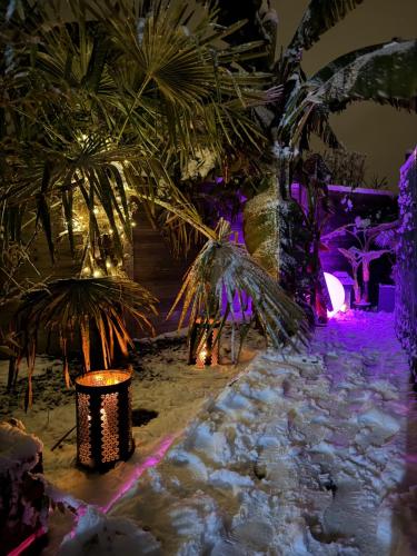 a resort with palm trees and lights at night at Gîte Studio Alsa 15 avec Jacuzzi privatif in Fortschwihr