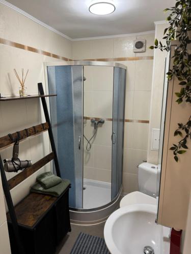 a bathroom with a shower and a toilet and a sink at Traumhafte Nächte, unvergesslich in Chemnitz